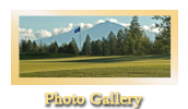 photo-gallery