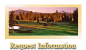 request-info