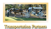 btn-wed-transportation