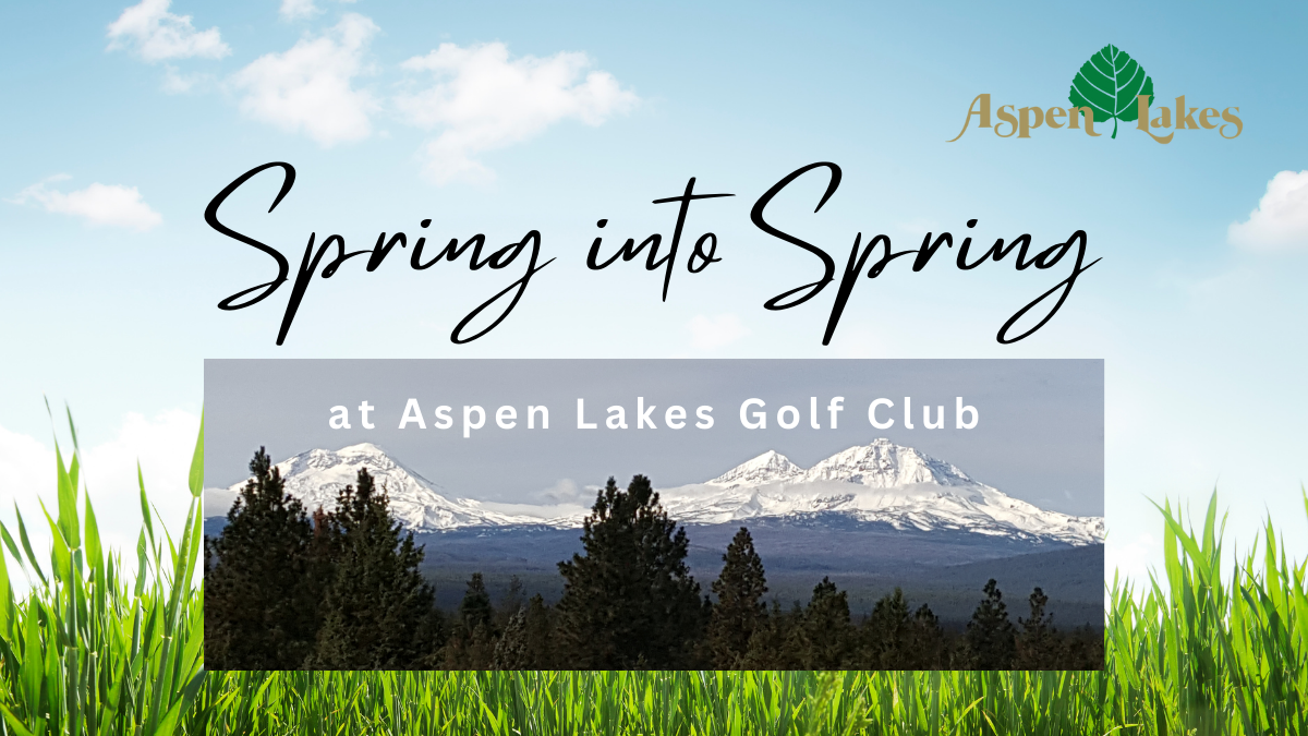 Spring into Spring 